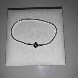 Pandora bracelet and charm